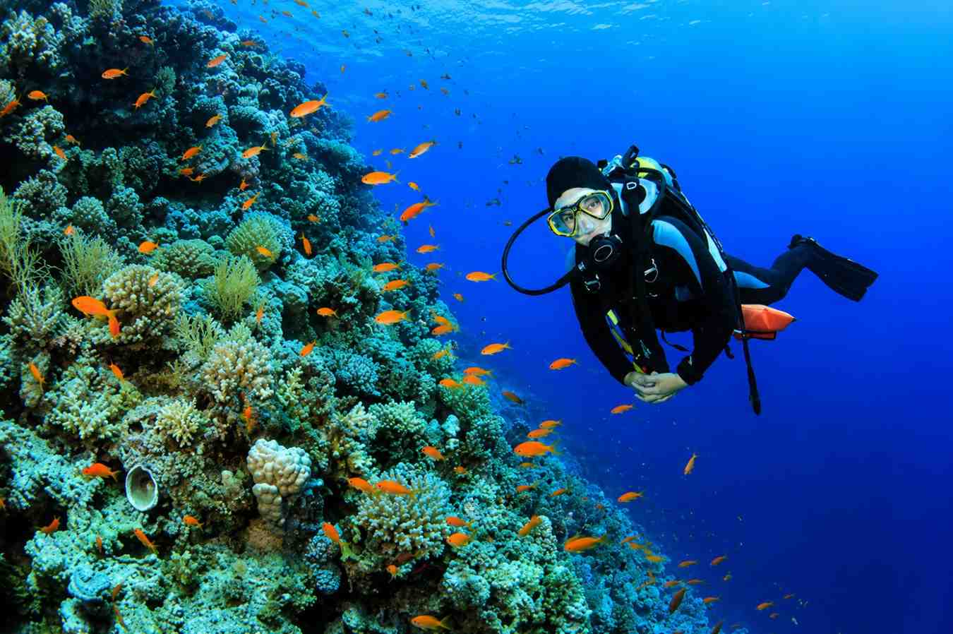 Best Things to Do in Andaman – Scuba Diving Experience in the Andaman & Nicobar Islands