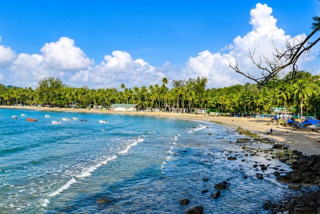 Beautiful Andaman beach with clear blue water and lush green trees.