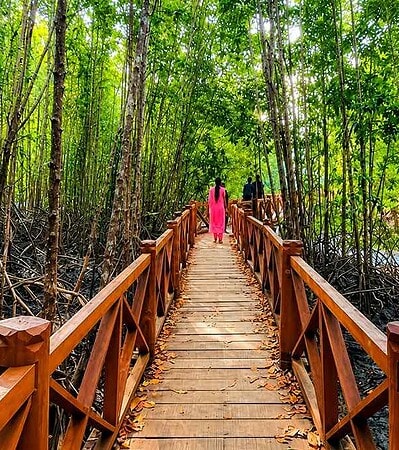 4N5D Andaman Best Itinerary @ 16,842/-pp