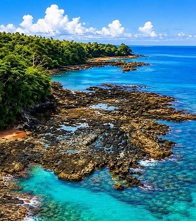 4N5D Andaman Tour Package Price @ 14,978/-pp