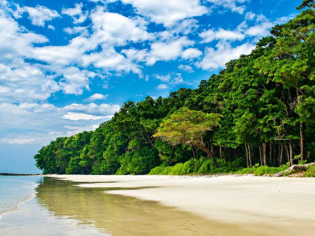 Best Time to Visit in Andaman