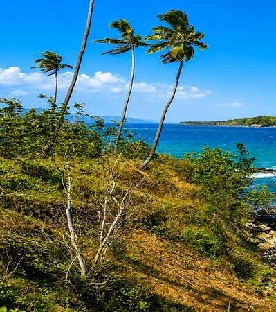 Andaman Economy Packages ₹ 8,921/-pp