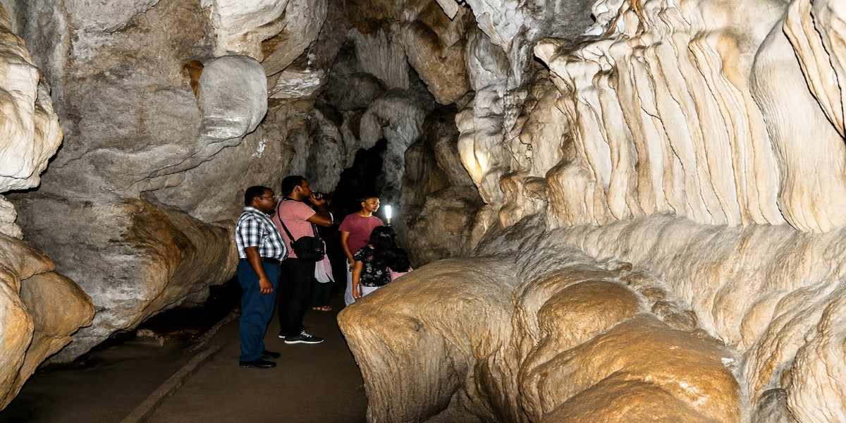 Andaman LTC Tour Packages for Central and State Government employees with hotels, ferry tickets, private cab services, sightseeing, airport transfers, and optional flights in the Andaman & Nicobar Islands.