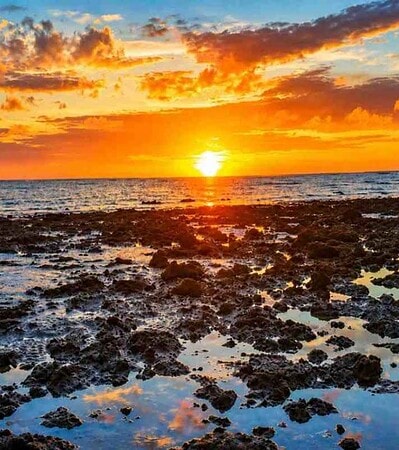 Budget-friendly Andaman Packages @ 16,085/- pp