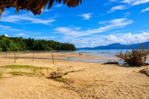 Beautiful sandy beach with clear blue sky and lush green trees.