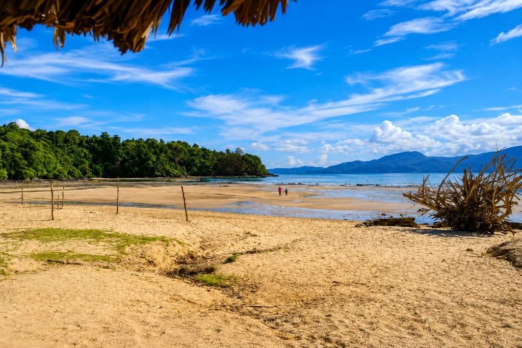 Beautiful sandy beach with clear blue sky and lush green trees.