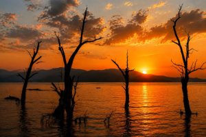 Chidiya Tapu near Port Blair featured in a cheapest Andaman package