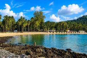 Beautiful beach in Andaman with palm trees and clear blue water.