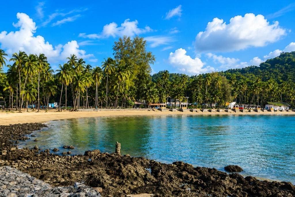 Beautiful beach in Andaman with palm trees and clear blue water.