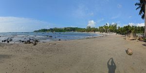 Scenic view of Andaman beach with clear blue sky and palm trees.