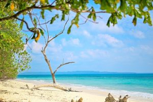 Kalapathar Beach on Havelock Island featured in a budget-friendly Andaman package