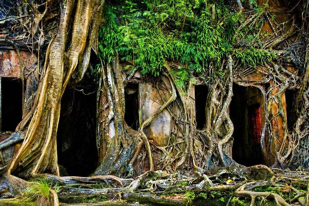 Ross Island Port Blair, Andaman and Nicobar Islands