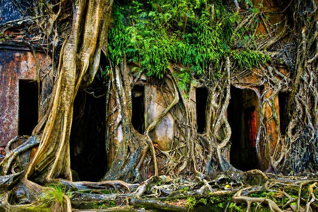 Ross Island near Port Blair featured in a cheapest Andaman package