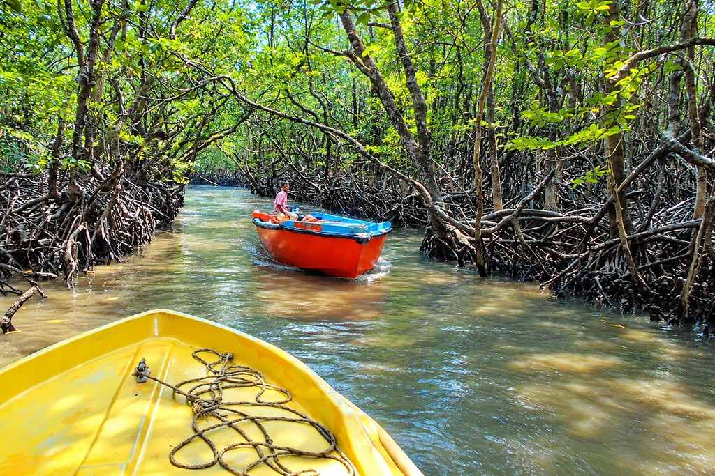 Limestone Cave in Baratang Island, Andaman