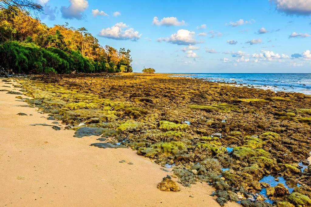 Peaceful natural surroundings of Raman Bagicha Beach in Rangat, Middle Andaman