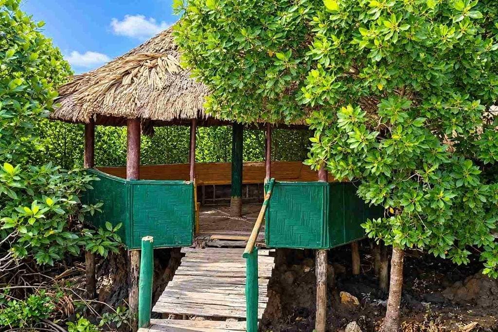 Mangrove-lined walkway at Yerrata in Rangat surrounded by the natural landscape of Middle Andaman