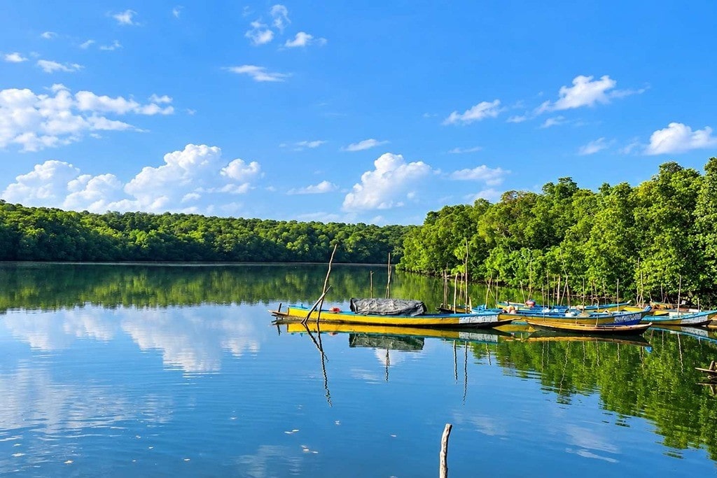 Yerrata Mangrove Walkway